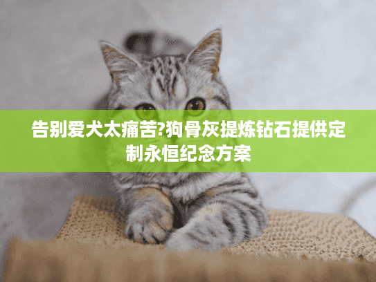 告别爱犬太痛苦?狗骨灰提炼钻石提供定制永恒纪念方案