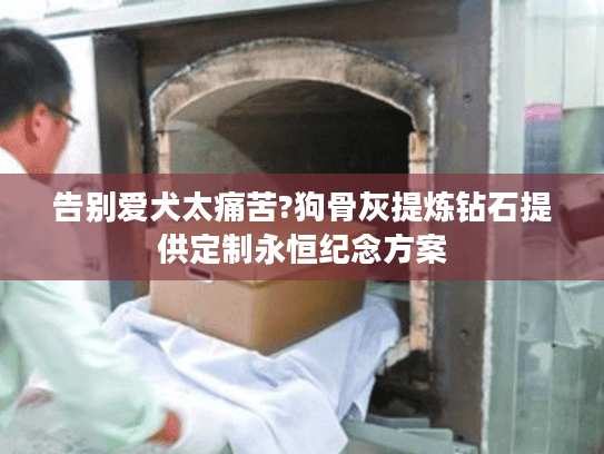 告别爱犬太痛苦?狗骨灰提炼钻石提供定制永恒纪念方案