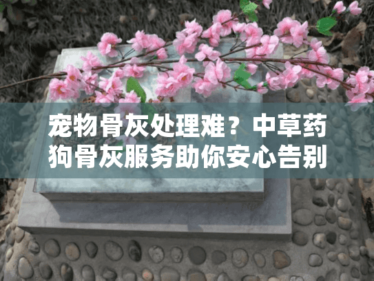 宠物骨灰处理难？中草药狗骨灰服务助你安心告别