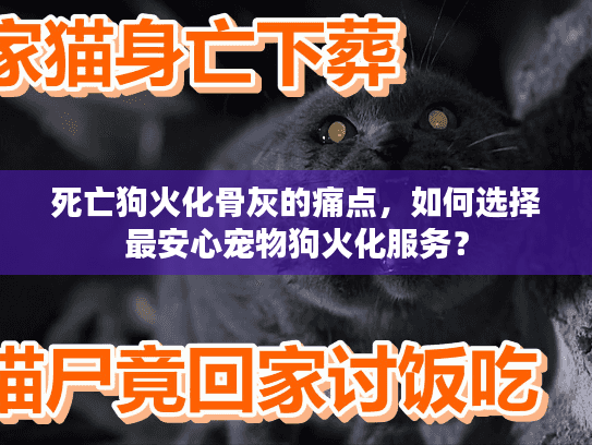 死亡狗火化骨灰的痛点，如何选择最安心宠物狗火化服务？