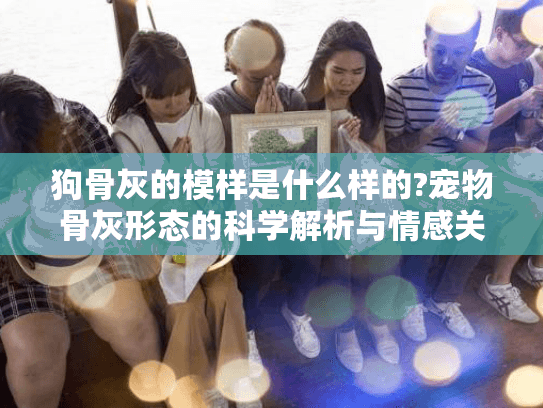 狗骨灰的模样是什么样的?宠物骨灰形态的科学解析与情感关怀