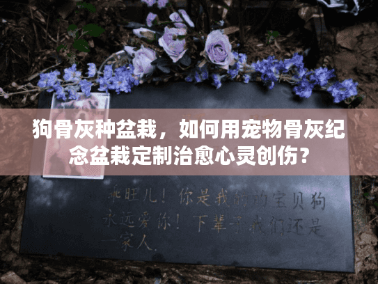 狗骨灰种盆栽，如何用宠物骨灰纪念盆栽定制治愈心灵创伤？