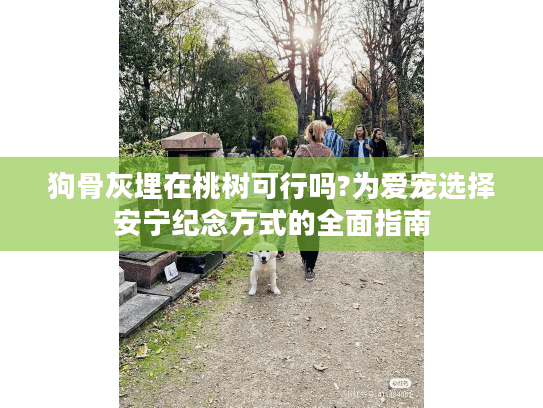 狗骨灰埋在桃树可行吗?为爱宠选择安宁纪念方式的全面指南