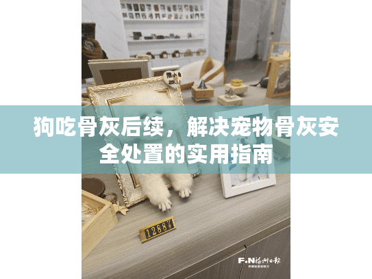 狗吃骨灰后续，解决宠物骨灰安全处置的实用指南