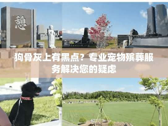 狗骨灰上有黑点？专业宠物殡葬服务解决您的疑虑
