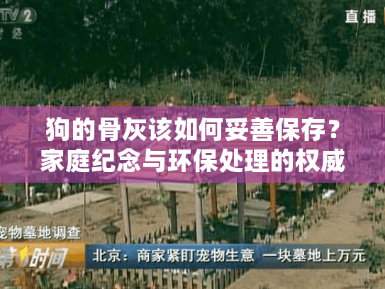 狗的骨灰该如何妥善保存？家庭纪念与环保处理的权威指南