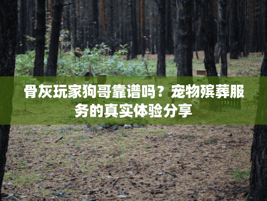 骨灰玩家狗哥靠谱吗？宠物殡葬服务的真实体验分享