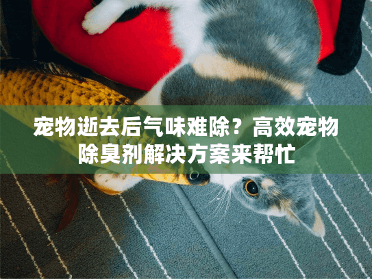 宠物逝去后气味难除？高效宠物除臭剂解决方案来帮忙