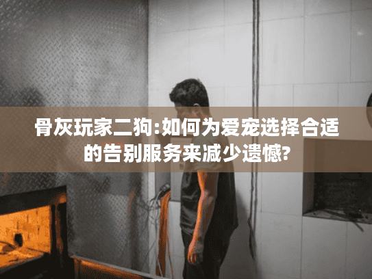 骨灰玩家二狗:如何为爱宠选择合适的告别服务来减少遗憾?