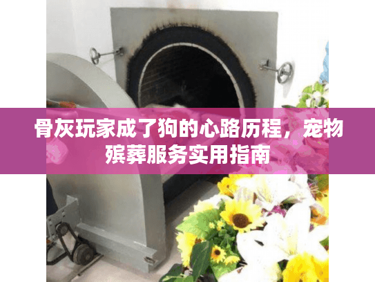 骨灰玩家成了狗的心路历程，宠物殡葬服务实用指南