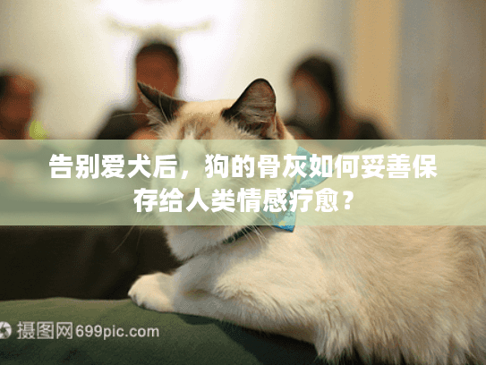 告别爱犬后，狗的骨灰如何妥善保存给人类情感疗愈？