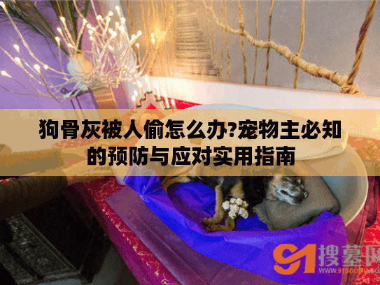 狗骨灰被人偷怎么办?宠物主必知的预防与应对实用指南