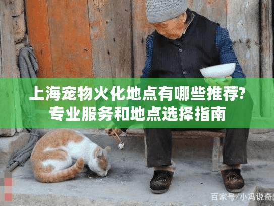 上海宠物火化地点有哪些推荐?专业服务和地点选择指南