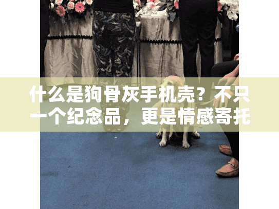 什么是狗骨灰手机壳？不只一个纪念品，更是情感寄托