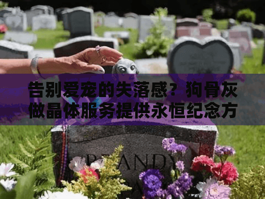 告别爱宠的失落感？狗骨灰做晶体服务提供永恒纪念方案