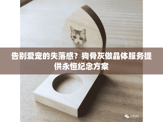 告别爱宠的失落感？狗骨灰做晶体服务提供永恒纪念方案