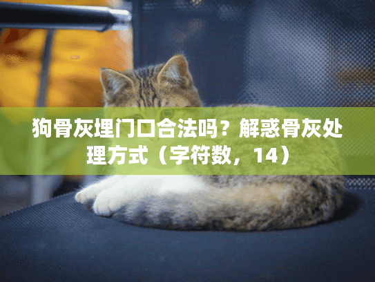 狗骨灰埋门口合法吗？解惑骨灰处理方式（字符数，14）