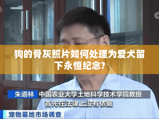 狗的骨灰照片如何处理为爱犬留下永恒纪念?