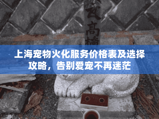 上海宠物火化服务价格表及选择攻略，告别爱宠不再迷茫