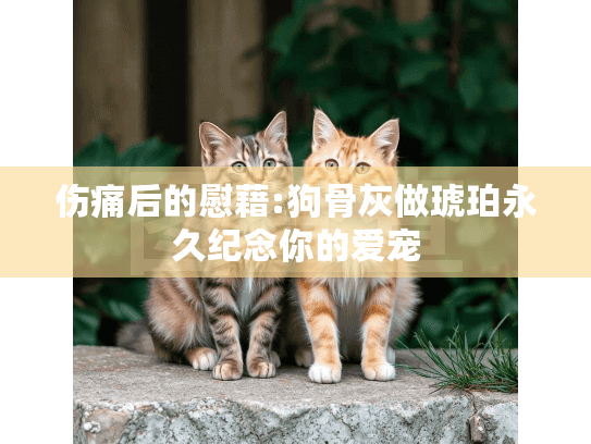 伤痛后的慰藉:狗骨灰做琥珀永久纪念你的爱宠