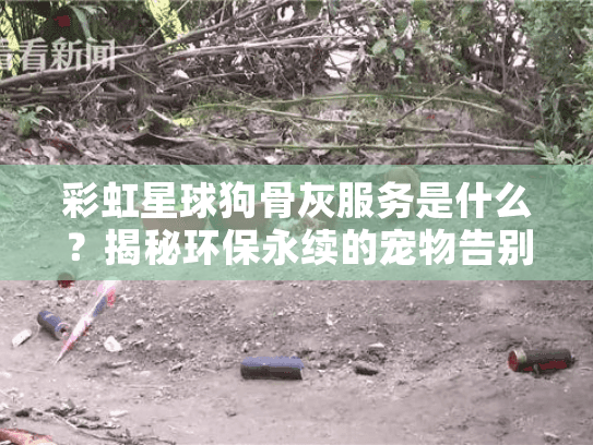 彩虹星球狗骨灰服务是什么？揭秘环保永续的宠物告别方式