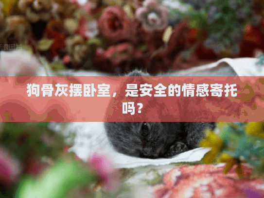 狗骨灰摆卧室,是安全的情感寄托吗? 狗骨灰摆卧室,是安全的情感寄托吗?