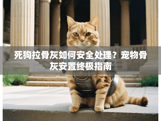 死狗拉骨灰如何安全处理？宠物骨灰安置终极指南