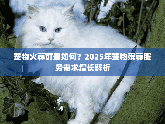 宠物火葬前景如何？2025年宠物殡葬服务需求增长解析