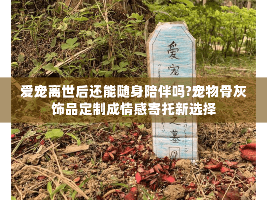 爱宠离世后还能随身陪伴吗?宠物骨灰饰品定制成情感寄托新选择