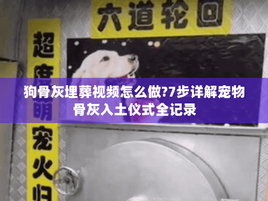 狗骨灰埋葬视频怎么做?7步详解宠物骨灰入土仪式全记录