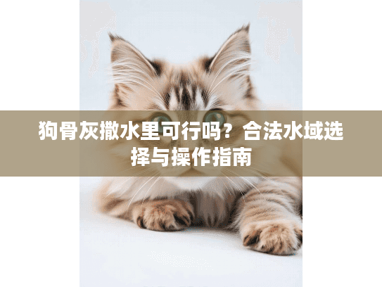 狗骨灰撒水里可行吗？合法水域选择与操作指南
