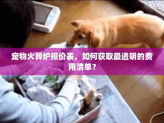 宠物火葬炉报价表，如何获取最透明的费用清单？