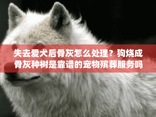 失去爱犬后骨灰怎么处理？狗烧成骨灰种树是靠谱的宠物殡葬服务吗？
