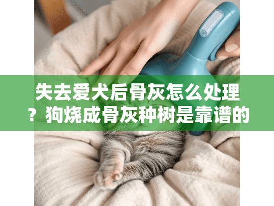 失去爱犬后骨灰怎么处理？狗烧成骨灰种树是靠谱的宠物殡葬服务吗？