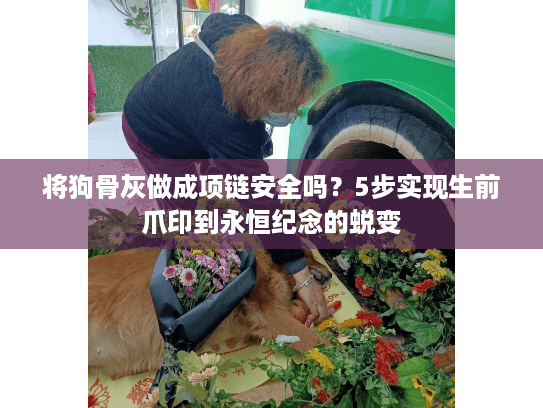 将狗骨灰做成项链安全吗？5步实现生前爪印到永恒纪念的蜕变