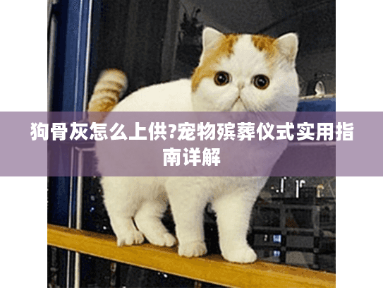 狗骨灰怎么上供?宠物殡葬仪式实用指南详解