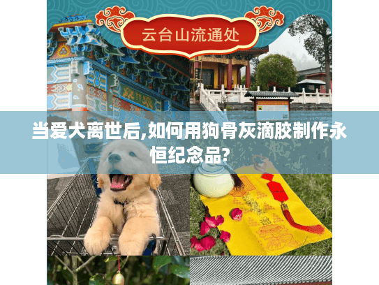 当爱犬离世后,如何用狗骨灰滴胶制作永恒纪念品?