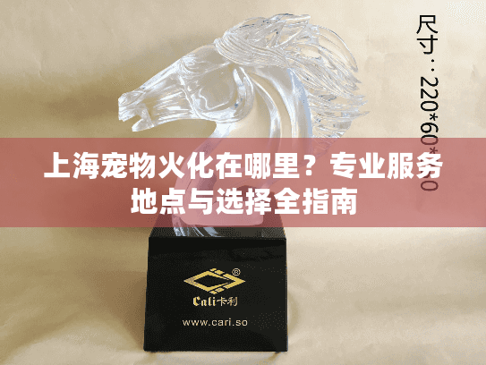 上海宠物火化在哪里？专业服务地点与选择全指南