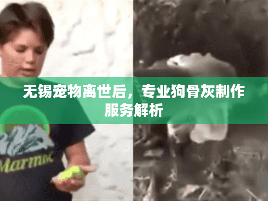 无锡宠物离世后，专业狗骨灰制作服务解析