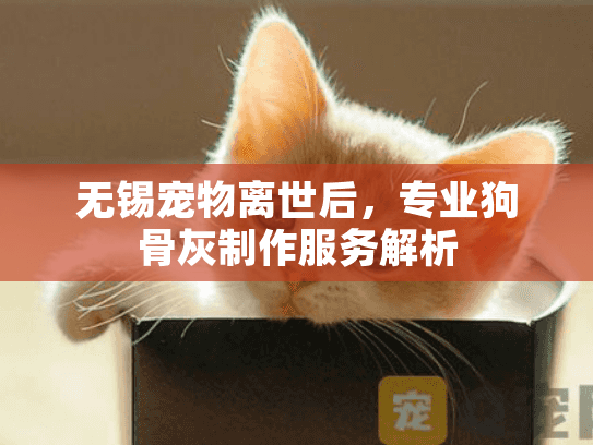 无锡宠物离世后，专业狗骨灰制作服务解析