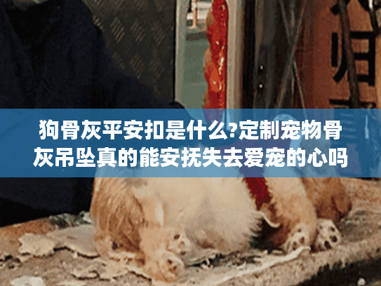 狗骨灰平安扣是什么?定制宠物骨灰吊坠真的能安抚失去爱宠的心吗?