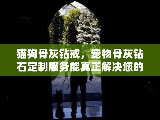 猫狗骨灰钻戒，宠物骨灰钻石定制服务能真正解决您的情感痛点吗？