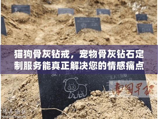 猫狗骨灰钻戒，宠物骨灰钻石定制服务能真正解决您的情感痛点吗？