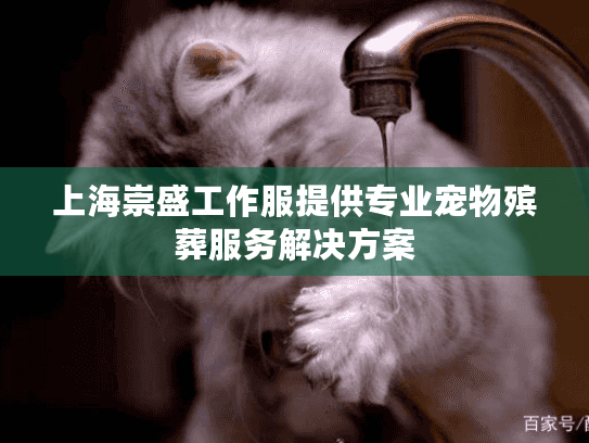 上海崇盛工作服提供专业宠物殡葬服务解决方案
