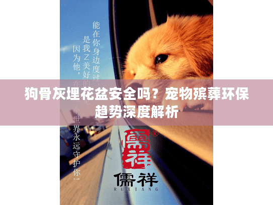 狗骨灰埋花盆安全吗？宠物殡葬环保趋势深度解析