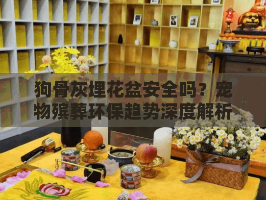 狗骨灰埋花盆安全吗？宠物殡葬环保趋势深度解析