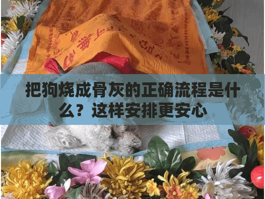 把狗烧成骨灰的正确流程是什么？这样安排更安心