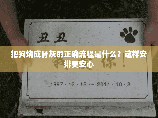 把狗烧成骨灰的正确流程是什么？这样安排更安心