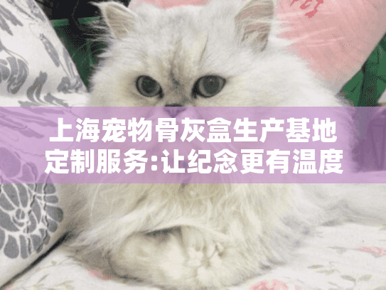 上海宠物骨灰盒生产基地定制服务:让纪念更有温度的5种方式