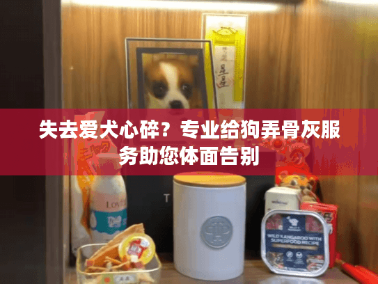 失去爱犬心碎？专业给狗弄骨灰服务助您体面告别